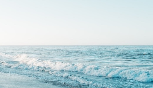 エンジニアとしての活動記録とこれからの展望